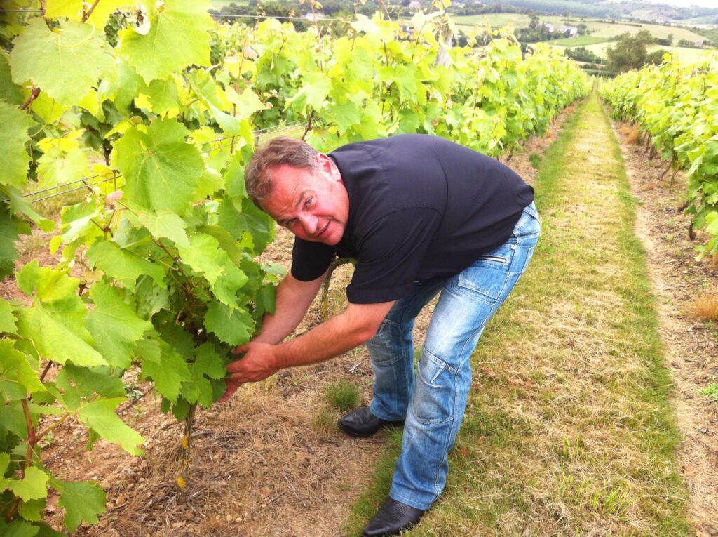 Luc Brault dans les vignes du domaine Manya Puig