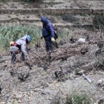 La taille de la vigne
